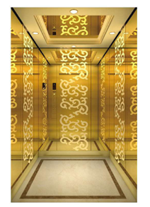 Passenger Elevator - Luxury Gold & Rose